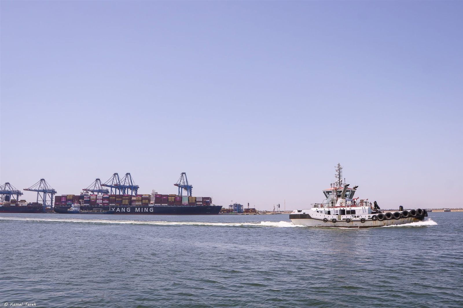 17731bebfc.jpg