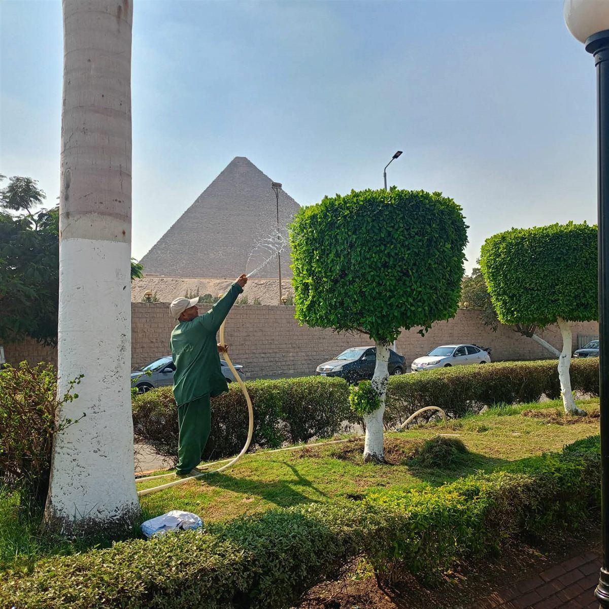 محيط المتحف الكبير