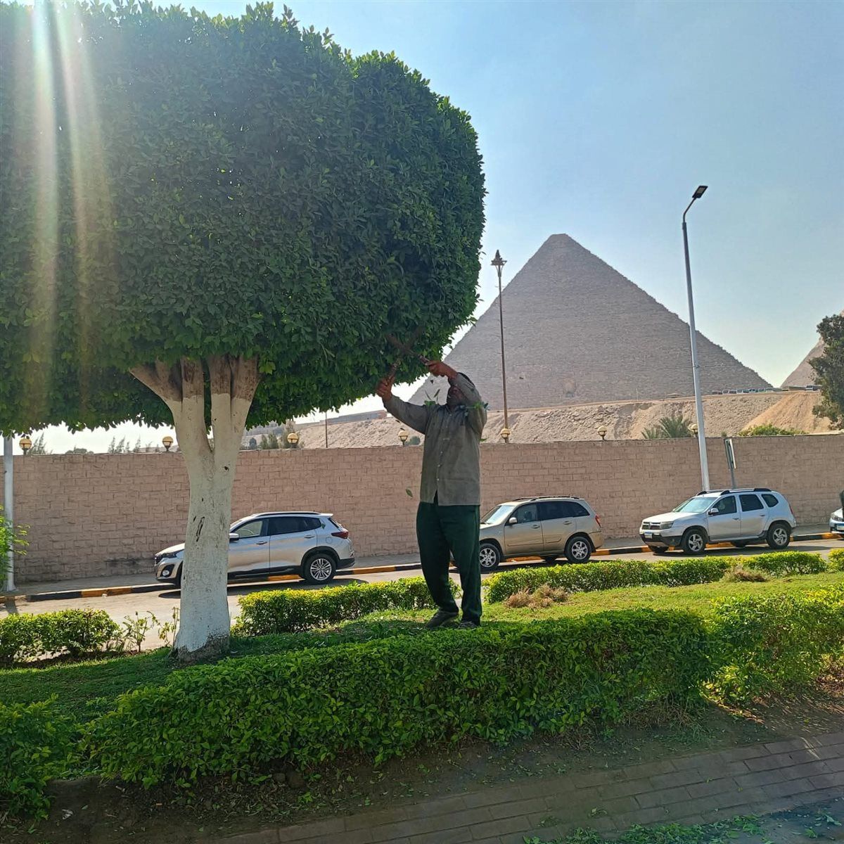 محيط المتحف الكبير