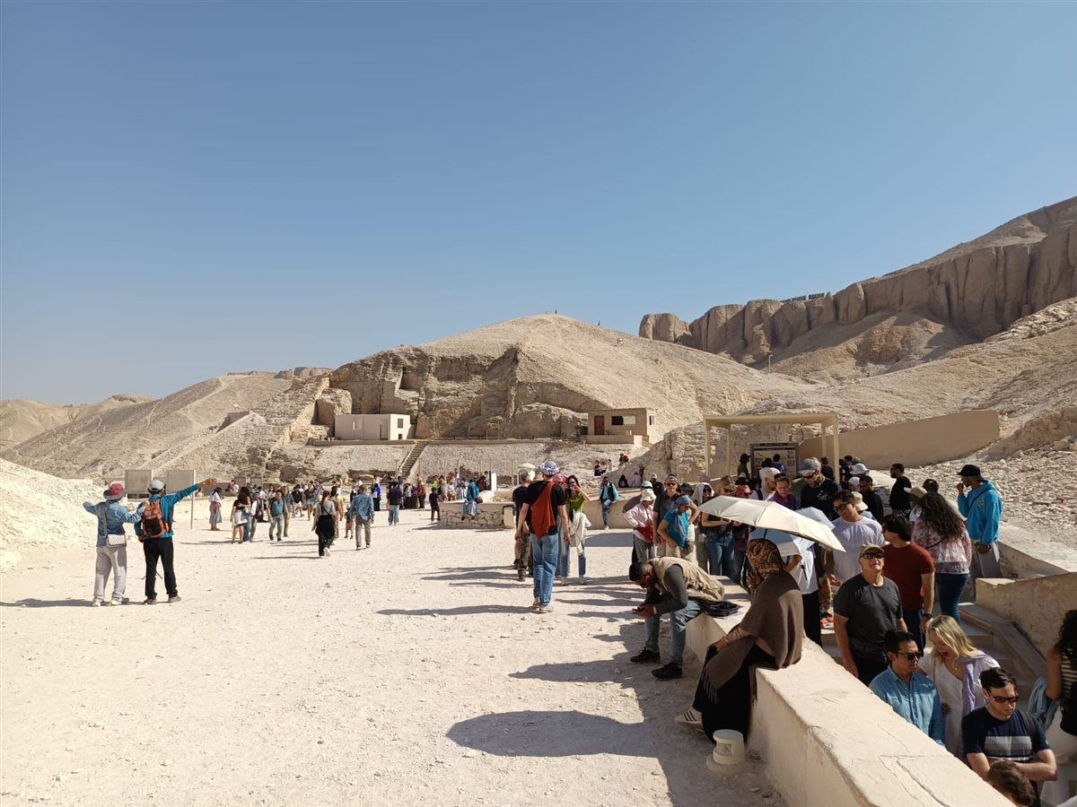 صورة من الفعالية