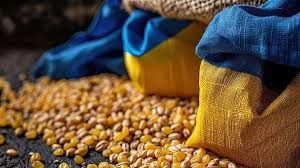 الحبوب الأوكرانية