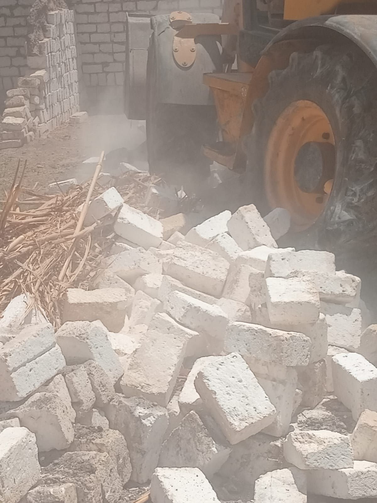 e5cf50cc38.jpg