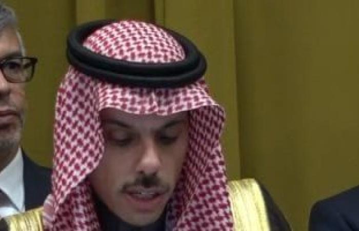 السعودية والجزائر تؤكدان أهمية وقف الانتهاكات الإسرائيلية ضد الشعب الفلسطينى