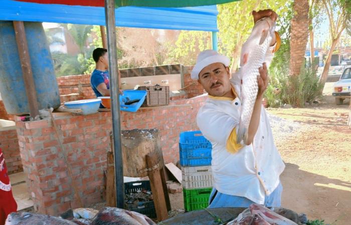 بتوجيهات
      الزملوط..
      طرح
      لحوم
      بـ
      300
      جنيه
      للكيلو
      بمحافظة
      الوادي
      الجديد