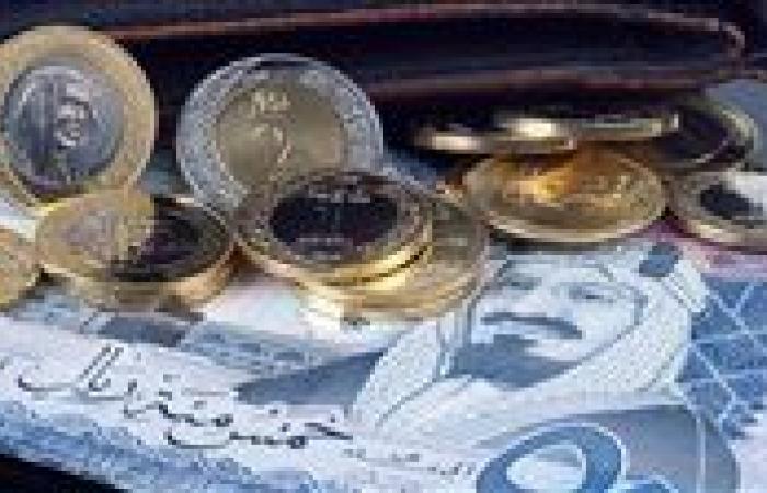 استقرار
      سعر
      الريال
      السعودي
      أمام
      الجنيه
      في
      بداية
      تعاملات
      اليوم