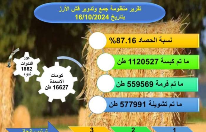 "الزراعة":
      حصاد
      87
      %
      من
      المساحات
      المنزرعة
      بالأرز..
      وإنتاج
      16
      ألف
      طن
      أسمدة
      عضوية
      من
      القش