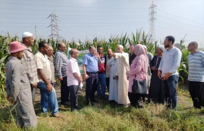 حقل
      إرشادي
      لتطبيق
      نتائج
      مشروع
      إنتاج
      خرائط
      خصوبة
      التربة
      بالوادي
      والدلتا