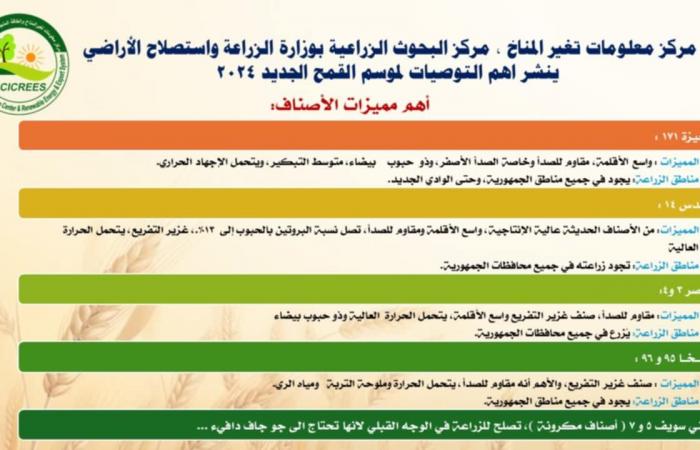 مركز
      معلومات
      تغير
      المناخ
      يصدر
      روشتة
      القمح
      للموسم
      الزراعي
      الجديد