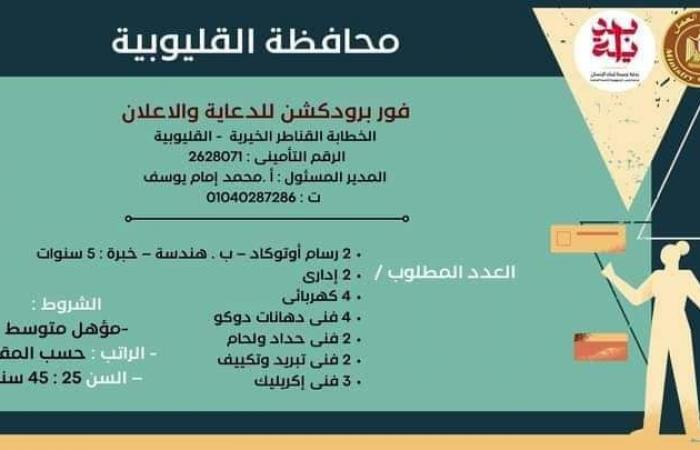 القوى
      العاملة
      بالقليوبية:
      توفير
      323
      فرصة
      في
      شركات
      ومصانع
      بمرتبات
      مجزية