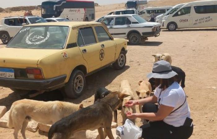 "كل
      كلب
      له
      اسم
      وصورة"..
      من
      وراء
      رعاية
      الكلاب
      في
      الهرم؟
      (الفجر
      تجيب)