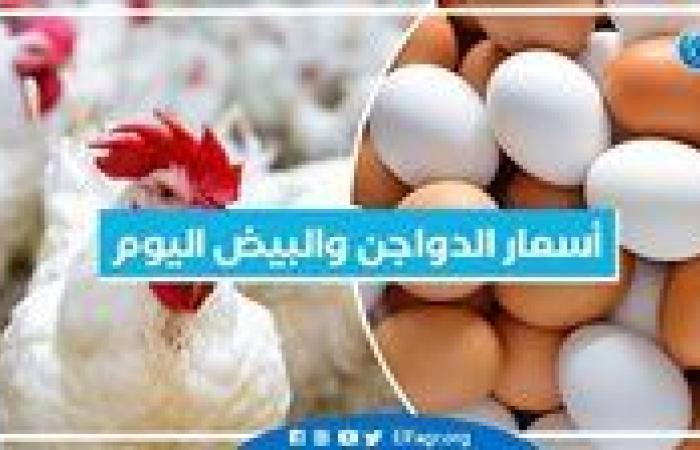 أسعار
      الدواجن
      والبيض
      اليوم الأربعاء
      23-10-2024 بمحافظة
      البحيرة