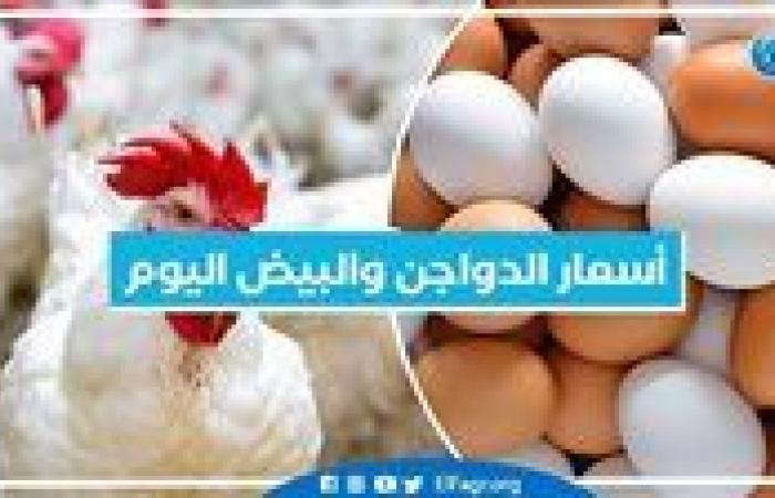 أسعار
      الدواجن
      والبيض
      اليوم
      السبت
      26-10-2024
      في
      المنيا