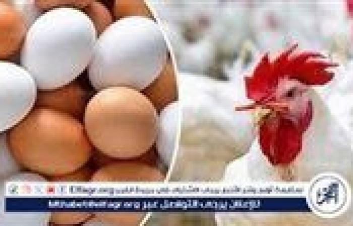 اسعار
      البيض
      اليوم
      الاثنين
      28
      -10-2024
      في
      الدقهلية