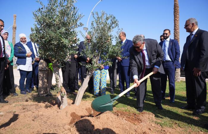 رئيس
      الرقابة
      المالية
      يطلق
      مع
      اتحاد
      التأمين
      مبادرة
      زرع
      الأشجار
      بشرم
      الشيخ..
      صور