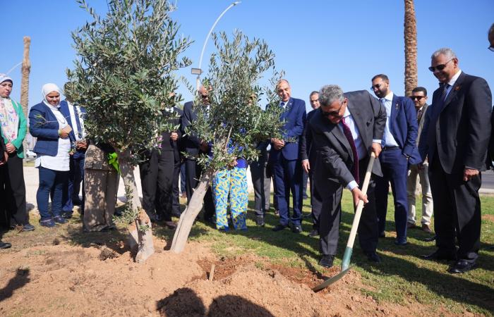 رئيس
      الرقابة
      المالية
      يطلق
      مع
      اتحاد
      التأمين
      مبادرة
      زرع
      الأشجار
      بشرم
      الشيخ..
      صور