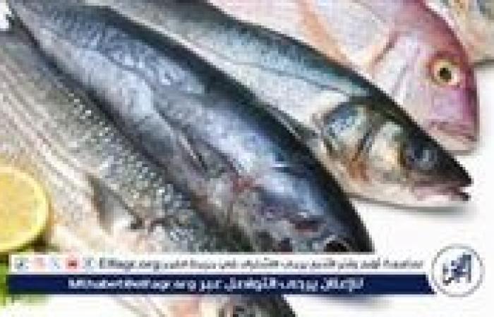 سعر
      السمك
      والجمبري
      اليوم
      الأحد
      10-11-2024
      بأسواق
      الجمهورية