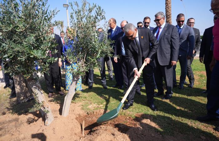 رئيس
      الرقابة
      المالية
      يطلق
      مع
      اتحاد
      التأمين
      مبادرة
      زرع
      الأشجار
      بشرم
      الشيخ..
      صور