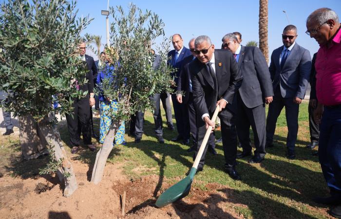 رئيس
      الرقابة
      المالية
      يطلق
      مع
      اتحاد
      التأمين
      مبادرة
      زرع
      الأشجار
      بشرم
      الشيخ..
      صور