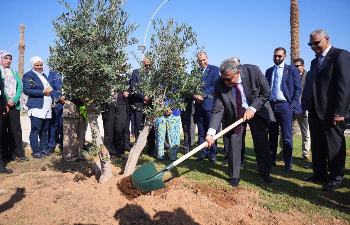 رئيس
      الرقابة
      المالية
      يطلق
      مع
      اتحاد
      التأمين
      مبادرة
      زرع
      الأشجار
      بشرم
      الشيخ..
      صور