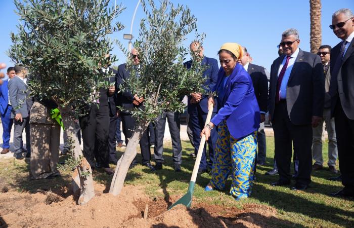 رئيس
      الرقابة
      المالية
      يطلق
      مع
      اتحاد
      التأمين
      مبادرة
      زرع
      الأشجار
      بشرم
      الشيخ..
      صور