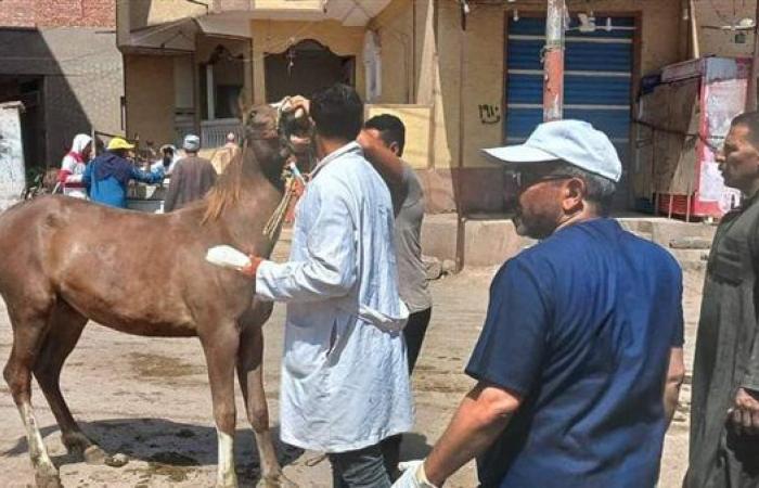 إطلاق
      قوافل
      بيطرية
      مجانية
      لتعزيز
      صحة
      الثروة
      الحيوانية
      ودعم
      المربين
      في
      7
      محافظات