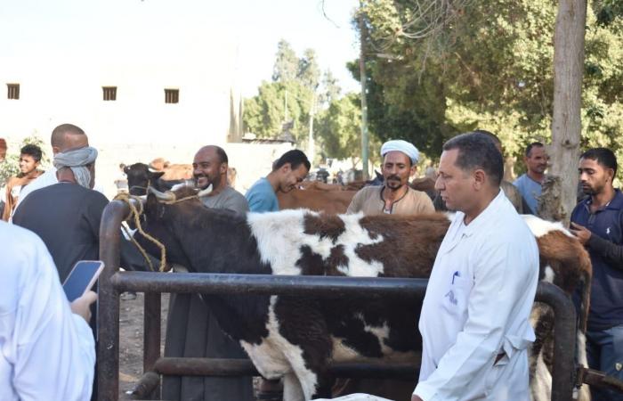 «مستقبل
      وطن»
      ينظم
      قافلة
      بيطرية
      مجانية
      بالعياط
      بالتعاون
      مع
      وزارة
      الزراعة