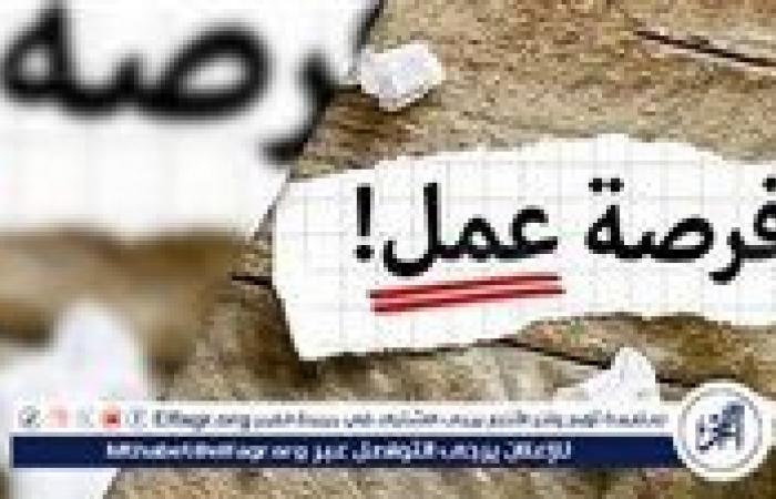 وزارة
      العمل
      تُعلن
      عن
      3088
      فرصة
      عمل
      جديدة
      برواتب
      مجزية
      في
      8
      محافظات