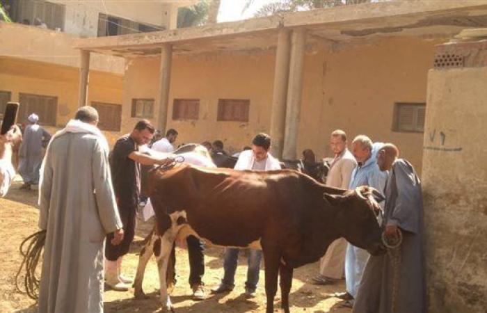 بالأرقام..
      "الزراعة"
      تكشف
      نتائج
      عمل
      القوافل
      البيطرية
      المجانية
      بـ4
      محافظات