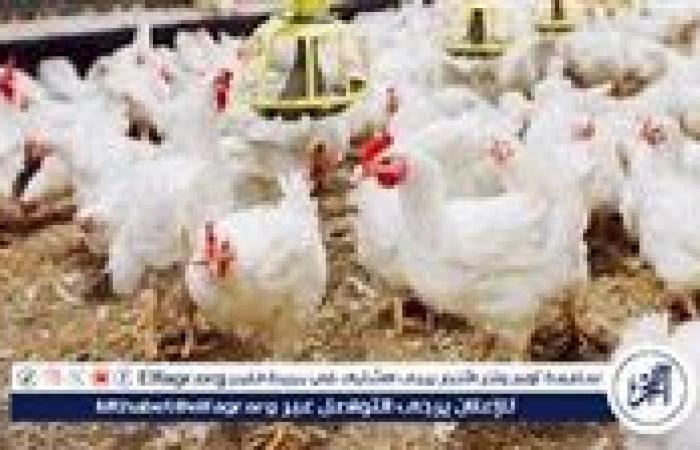 اسعار
      البيض
      اليوم
      الاربعاء
      27-11-2024
      في
      الدقهلية