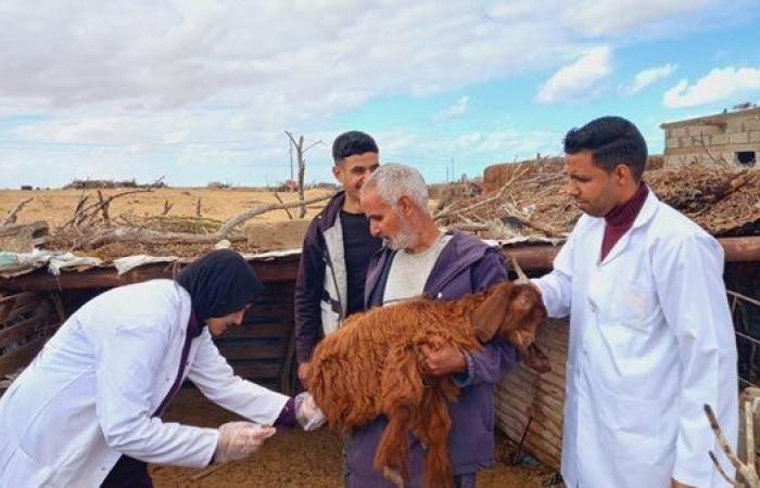 "بحوث
      الصحراء"
      يُطلق
      قوافل
      بيطرية
      مجانية
      لدعم
      صغار
      المزارعين
      بشمال
      سيناء