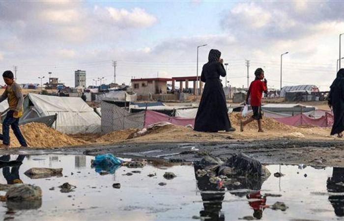 ميك
      نابير
      لـ
      "القاهرة
      الإخبارية":
      ما
      يحدث
      في
      قطاع
      غزة
      كارثي