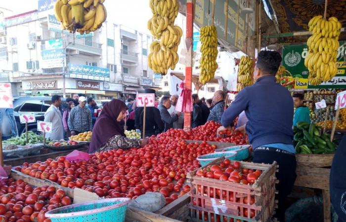 محافظ
      الدقهلية
      يتفقد
      شوارع
      ومنافذ
      البيع
      بمدينة
      بلقاس