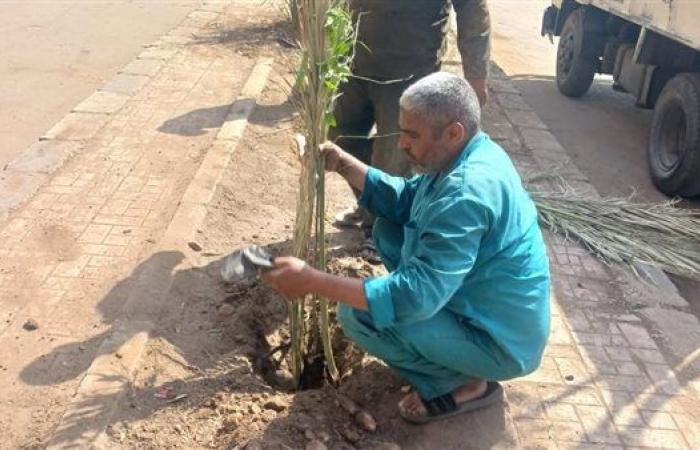 ضمن
      مبادرة"100
      مليون
      شجرة"..
      زراعة
      122
      ألف
      شجرة
      في
      الأقصر
      خلال
      2024