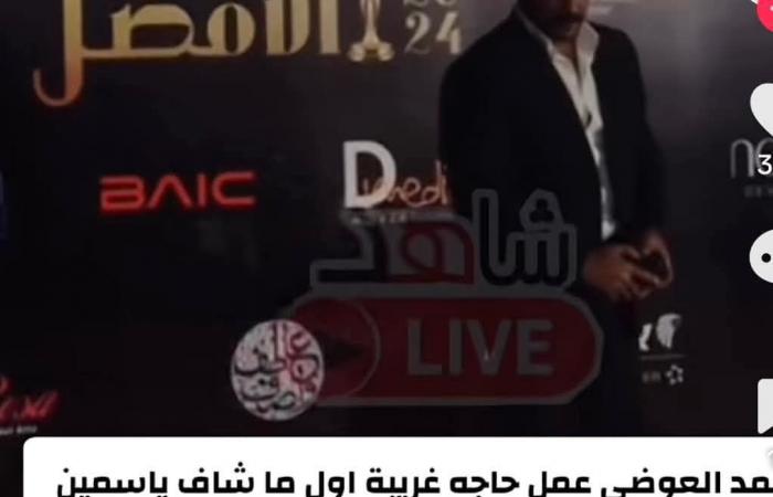 بسبب
      العوضي..
      ياسمين
      عبدالعزيز
      تتصدر
      تريند
      "جوجل"