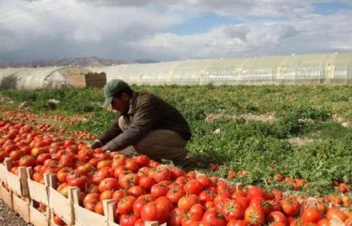 كاتب
      صحفى:
      انطلاقة
      مصرية
      قوية
      بالصادرات
      الزراعية
      والصناعات
      الهندسية