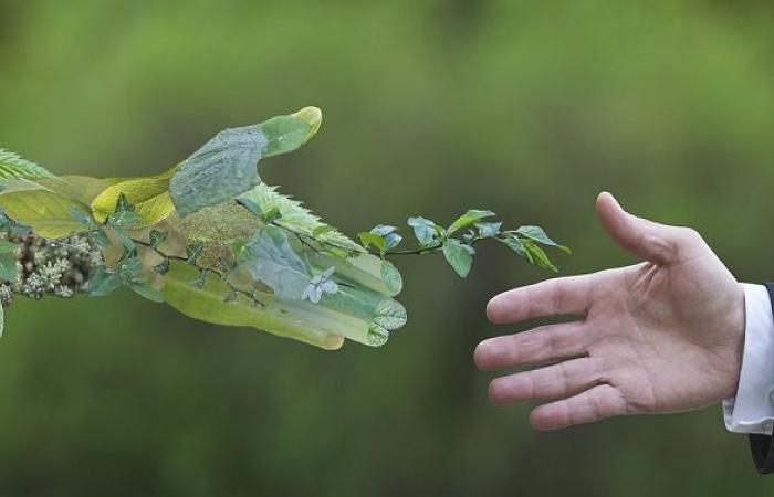 مصر
      والتحول
      نحو
      الاقتصاد
      الأخضر:
      بناء
      المستقبل
      الأخضر