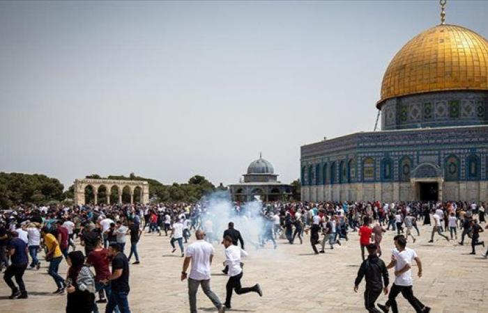 حزب
      الشعب
      الجمهوري
      يدين
      اقتحام
      الأقصى:
      الممارسات
      الإسرائيلية
      تقوض
      مساعي
      تحقيق
      السلام