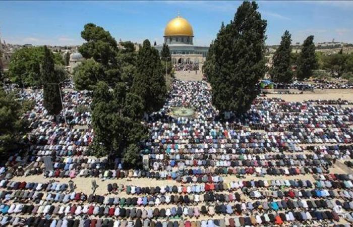 "أوقاف
      القدس":
      50
      ألف
      مصل
      أدوا
      صلاة
      الجمعة
      فى
      رحاب
      المسجد
      الأقصى