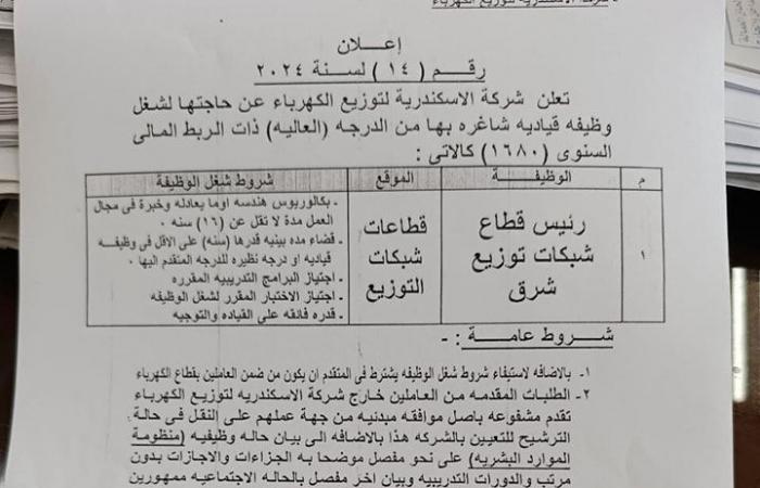 كهرباء
      الإسكندرية
      تعلن
      عن
      وظيفة
      شاغرة..
      وتفتح
      باب
      التقديم
      لها