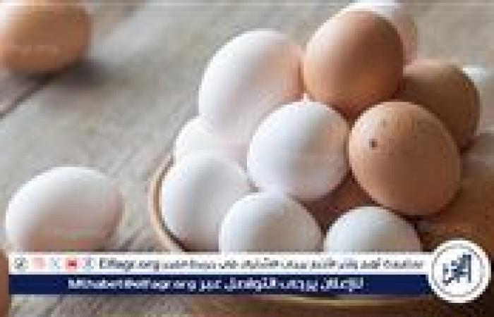 اسعار
      البيض
      اليوم
      الاحد
      5-1-2025
      في
      الدقهلية