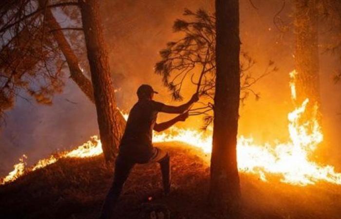 عمدة
      مقاطعة
      لوس
      أنجلوس:
      11
      قتيلًا
      و13
      مفقودًا
      فى
      حرائق
      الغابات
      حتى
      الآن