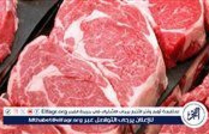 ضبط
      كميات
      من
      اللحوم
      الفاسدة
      فى
      حملة
      للطب
      البيطري
      بالغربية