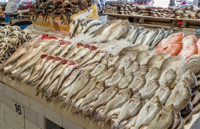أسعار
      الأسماك
      والمأكولات
      البحرية
      بالغربية
      اليوم
      الثلاثاء
      17
      يوينو
      2025