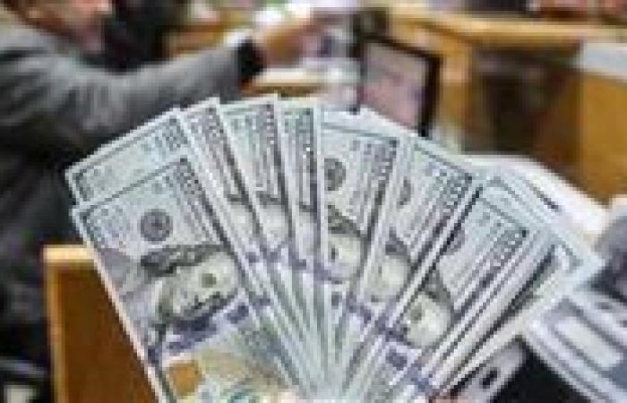 الاحتياطي
      النقدي
      وتأمين
      السلع..
      كيف
      تحصن
      مصر
      اقتصادها
      في
      وجه
      الأزمات
      العالمية؟