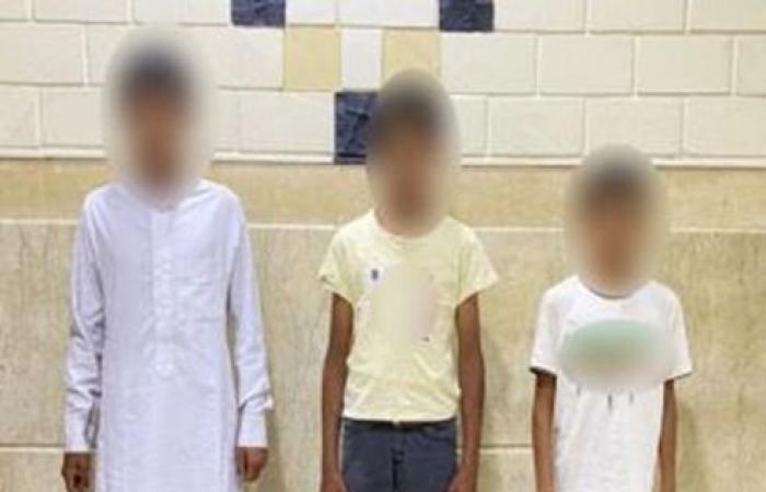 كانوا
      بيلهوا..
      القبض
      على
      3
      أطفال
      لتسلقهم
      طائرة
      هيكلية