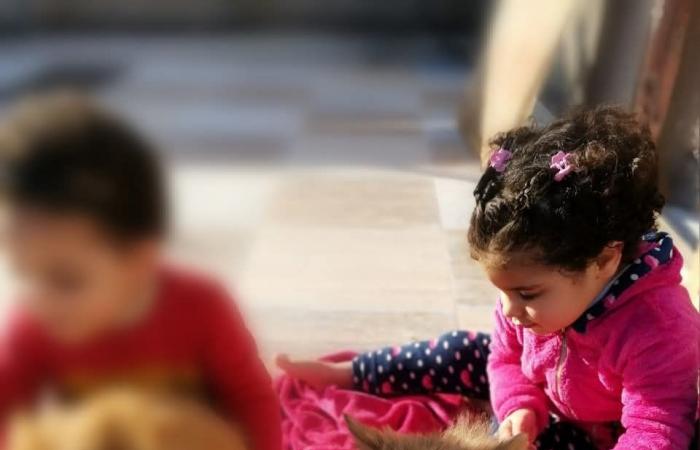 تحقيقات
      موسعة
      فى
      خنق
      سيدة
      أطفالها
      الثلاثة
      فى
      فيلا
      بالشروق