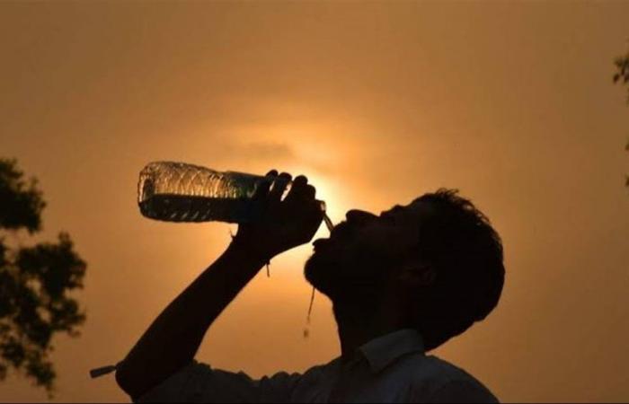 موجة
      حر
      شديدة
      تضرب
      مصر..
      وتوصيات
      من
      الزراعة
      لحماية
      المحاصيل