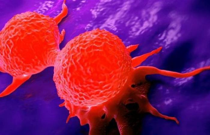 اكتشاف
      قد
      يحدث
      ثورة
      في
      علاج
      السرطان..
      "الدماغ
      الثاني"
      في
      جهازنا
      الهضمي
      يحفز
      نمو
      الأورام