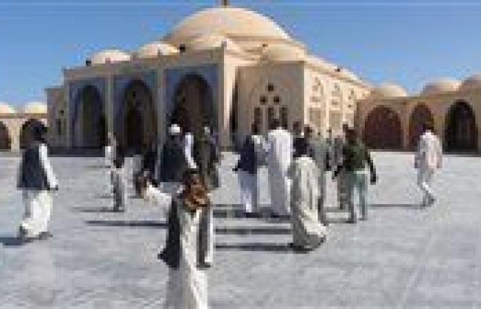 وزير الأوقاف السابق: السياسة المصرية حائط صد منيع للدفاع عن ثوابت القضية الفلسطينية