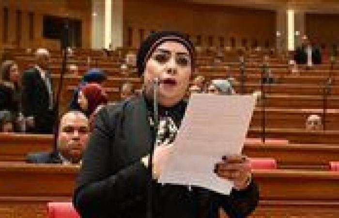 النائبة جيهان شاهين: تعديلات قانون تنظيم الأنشطة النووية والإشعاعية خطوة مهمة لتعزيز أمن الطاقة وحماية المواطن